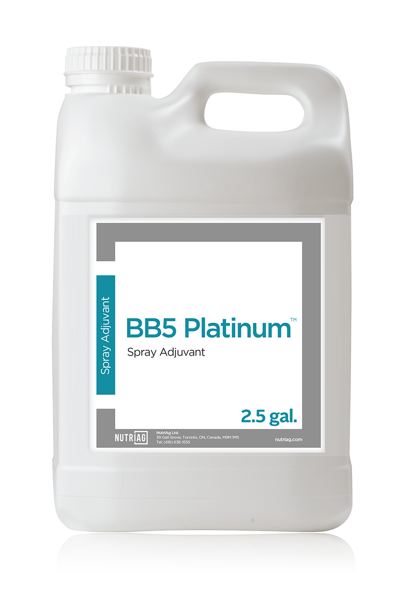 BB5® Platinum™