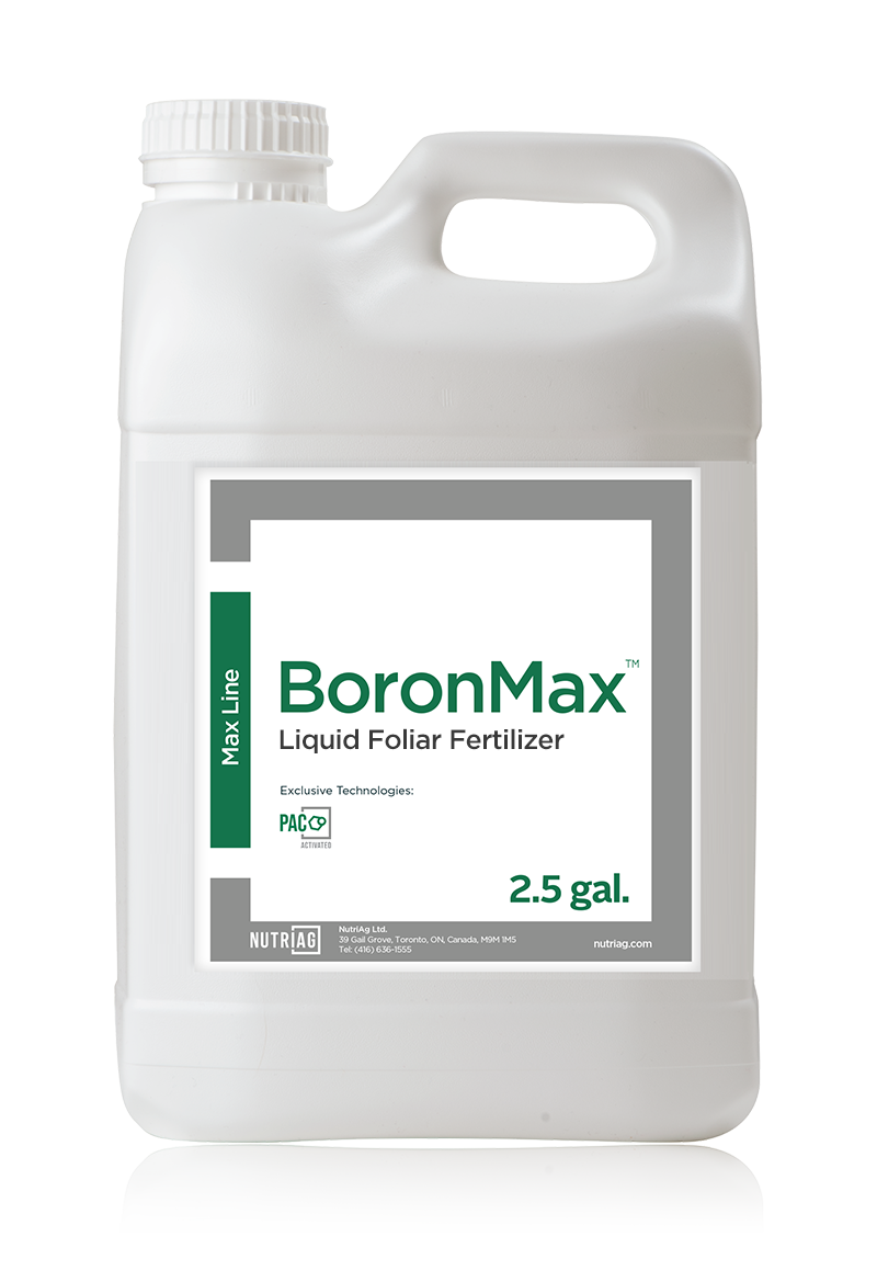 BoroMax®