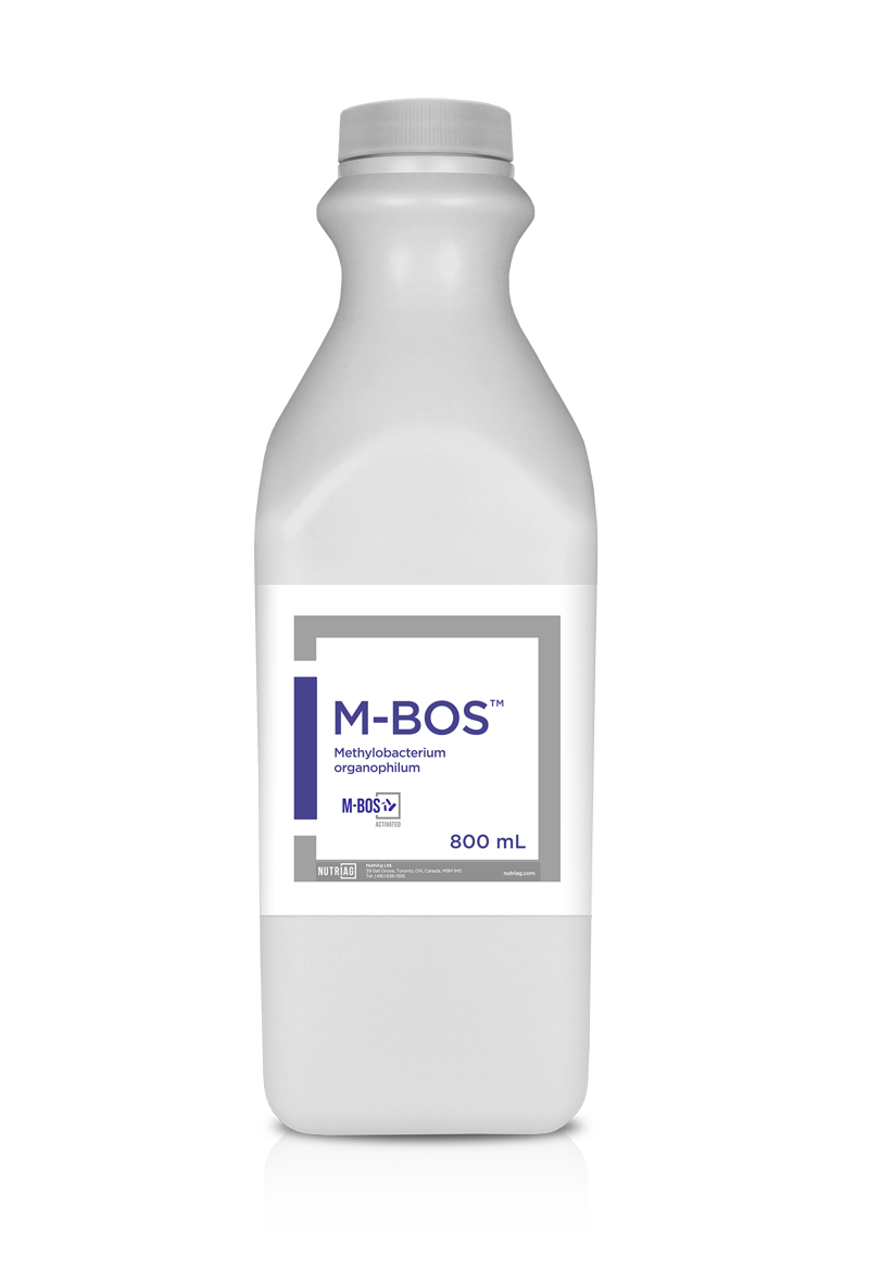 M-BOS™
